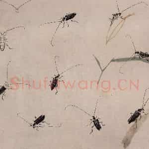 约1960年 王雪涛《草虫册页》国画花鸟作品图片鉴赏