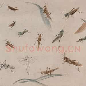 约1960年 王雪涛《草虫册页》国画花鸟作品图片鉴赏