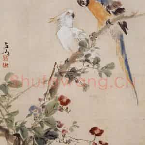 约1962年 王雪涛《鹦鹉图》国画花鸟作品图片鉴赏