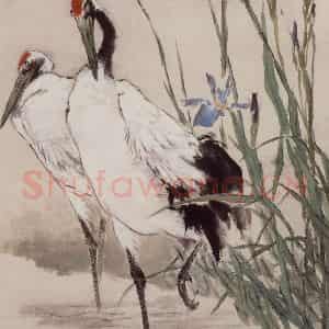 约1962年 王雪涛《鸳尾仙鹤》国画花鸟作品图片鉴赏