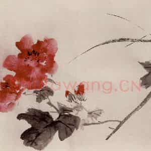 约1962年 王雪涛《花卉册页》国画花鸟作品图片鉴赏