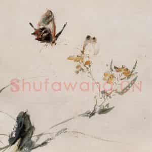 约1962年 王雪涛《草虫花卉册页》国画花鸟作品图片鉴赏