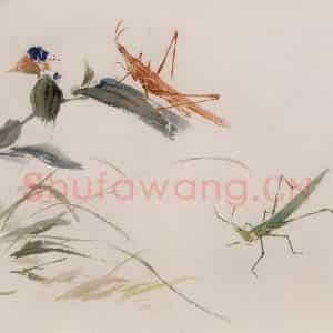 约1962年 王雪涛《草虫花卉册页》国画花鸟作品图片鉴赏