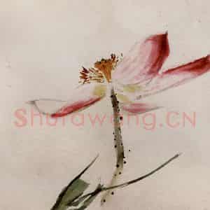 约1962年 王雪涛《草虫花卉册页》国画花鸟作品图片鉴赏