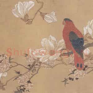 陈之佛《玉兰鹦鹉图》国画花鸟作品图片鉴赏