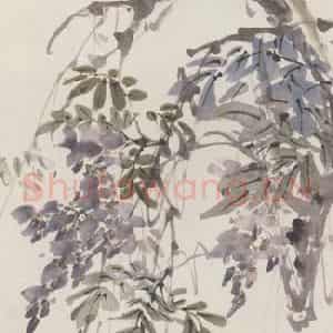 王云《紫藤鹦鹉图》国画花鸟作品图片鉴赏