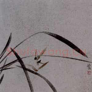 2007年 杨福音《兰花册页》国画花鸟写意作品图片鉴赏