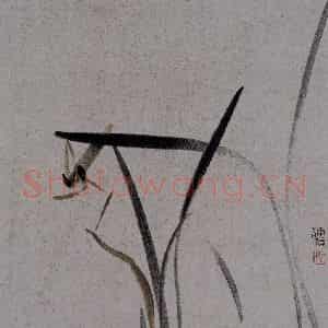 2007年 杨福音《兰花册页》国画花鸟写意作品图片鉴赏