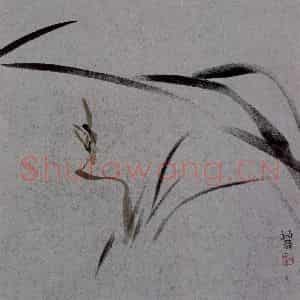2007年 杨福音《兰花册页》国画花鸟写意作品图片鉴赏