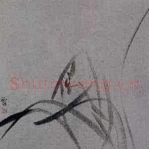 2007年 杨福音《兰花册页》国画花鸟写意作品图片鉴赏