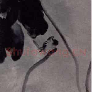 2006年 杨福音《红莲晚照之三》国画花鸟写意作品图片鉴赏