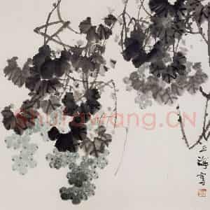 王之海《葡萄》国画花鸟作品图片鉴赏