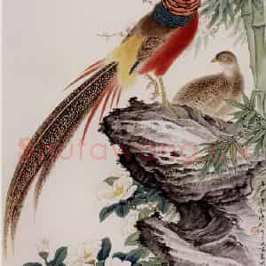1981年 金鸿钧《锦鸡梅茶》国画花鸟作品图片鉴赏