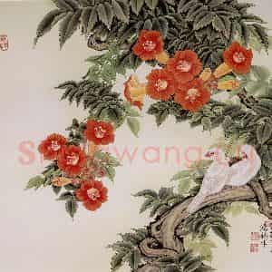 1981年 金鸿钧《凌霄白羽》国画花鸟作品图片鉴赏