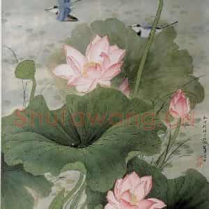 1985年 金鸿钧《荷花鹡鸰》国画花鸟作品图片鉴赏