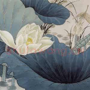 1989年 金鸿钧《白荷蜻蜓》国画花鸟作品图片鉴赏