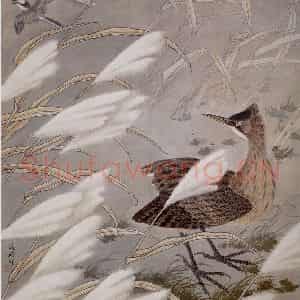 1986年 金鸿钧《芦塘野趣》国画花鸟作品图片鉴赏