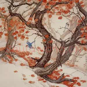 1986年 金鸿钧《红满香山路》国画花鸟作品图片鉴赏