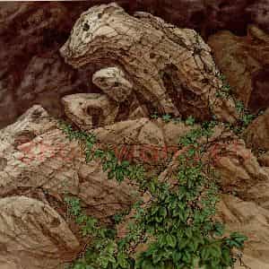 1989年 金鸿钧《石魂》国画花鸟作品图片鉴赏