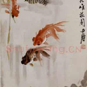 汪亚尘《鱼》国画花鸟作品图片鉴赏