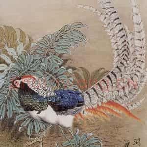 1996年 段忻然《争相斗艳》国画花鸟作品图片鉴赏