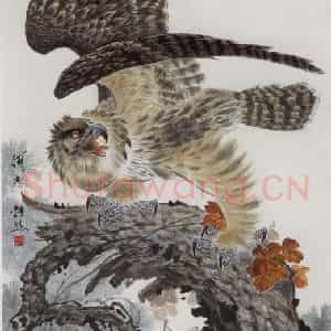 1978年 段忻然《鹰》国画花鸟作品图片鉴赏
