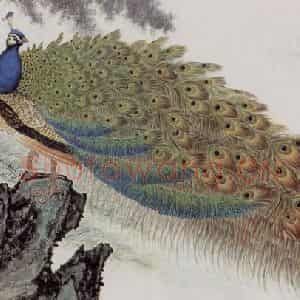 1992年 段忻然《动摇金翠舞碧空》国画花鸟作品图片鉴赏