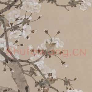 1959年 陈之佛《樱花小鸟》国画花鸟作品图片鉴赏