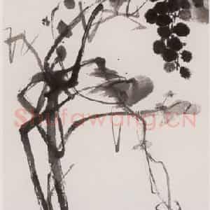 1961年 陈半丁《墨葡萄》国画综合作品图片鉴赏