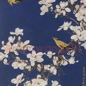 1956年 于非闇《玉兰黄鹂》国画花鸟作品图片鉴赏