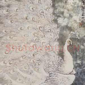 1978年 陆抑非《白孔雀》国画花鸟作品图片鉴赏