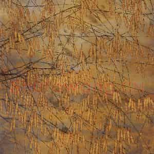 1993年 苏百钧《秋韵》国画花鸟作品图片鉴赏