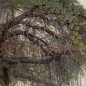 1995年 方楚雄《鼎湖山中》国画花鸟作品图片鉴赏