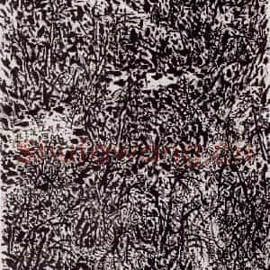2008年 崔振宽《秦岭山溪》国画山水作品图片鉴赏