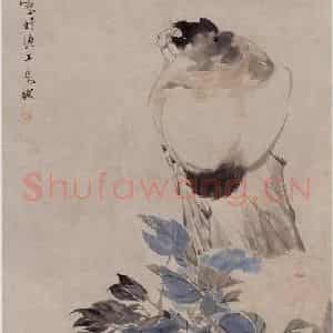 1872年 任伯年《牡丹猫石图》国画花鸟作品图片鉴赏