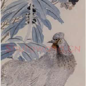 约19世纪60年代末期 任伯年《花阴母鸡图》国画花鸟作品图片鉴赏