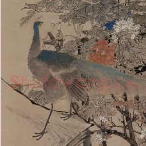 1867年 任伯年《孔雀牡丹图》国画花鸟作品图片鉴赏