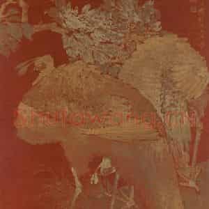 1879年 任伯年《牡丹孔雀》国画花鸟作品图片鉴赏