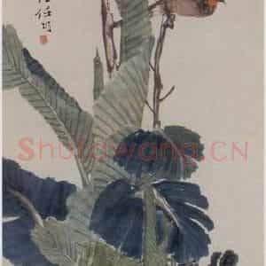 1882年 任伯年《绣球芭蕉》国画花鸟写意作品图片鉴赏