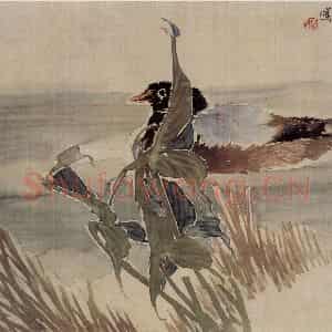 清代 任伯年《花鸟册三帧》国画花鸟写意作品图片鉴赏