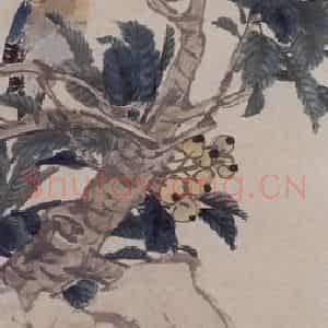 清代 任伯年《鹦鹉枇杷》国画花鸟作品图片鉴赏