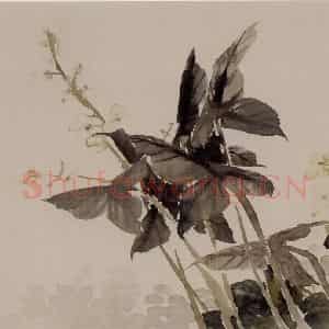 清代 任伯年《花卉册》国画花鸟作品图片鉴赏