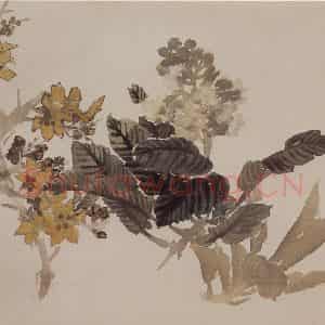 清代 任伯年《花卉册》国画花鸟作品图片鉴赏