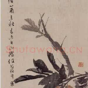 清代 任伯年《蔬果册八开》国画花鸟作品图片鉴赏
