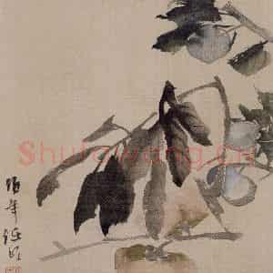 清代 任伯年《蔬果册八开》国画花鸟作品图片鉴赏
