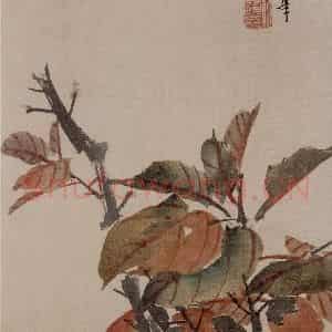 清代 任伯年《花果册八开》国画花鸟作品图片鉴赏