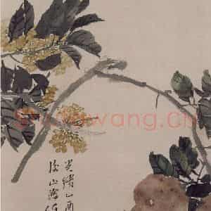 清代 任伯年《花果册八开》国画花鸟作品图片鉴赏