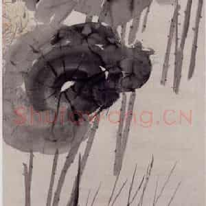 1893年 任伯年《荷花图》国画花鸟写意作品图片鉴赏