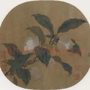 宋代《夜合花图》国画花鸟作品图片鉴赏