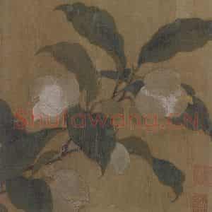 宋代《夜合花图》国画花鸟作品图片鉴赏